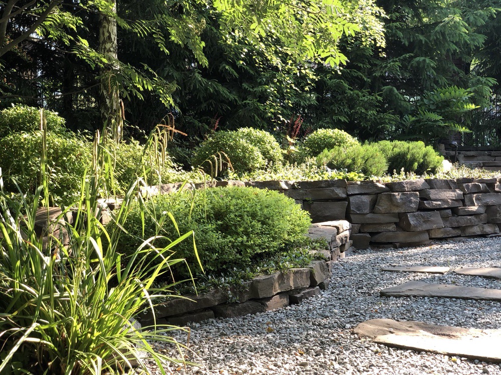 Сад "Живая история"