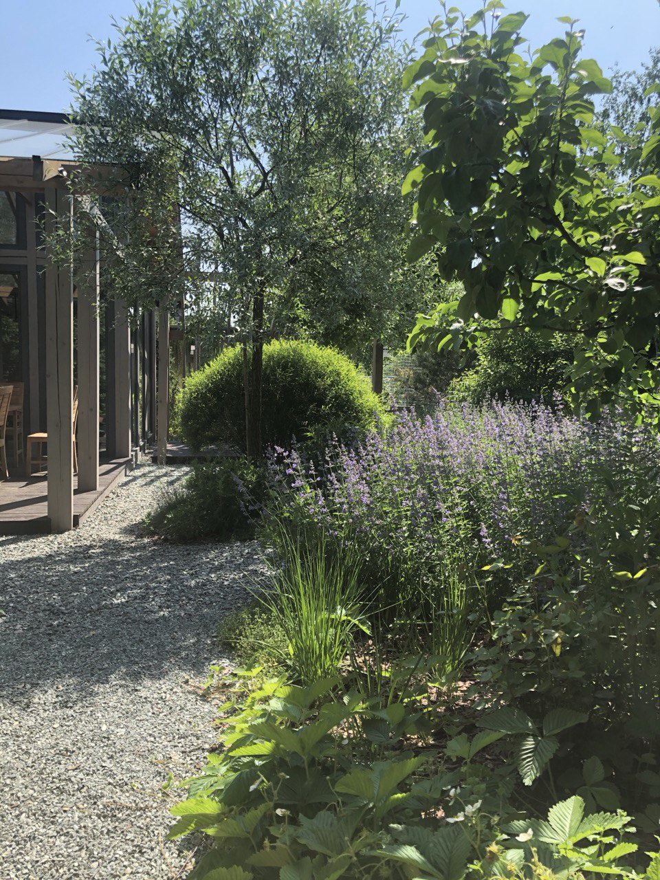 Сад "Живая история"