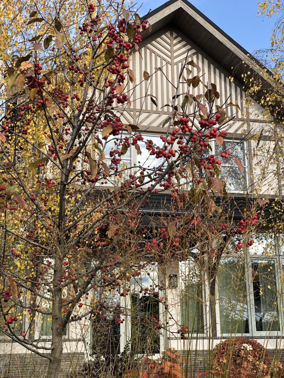 Сад "Живая история"