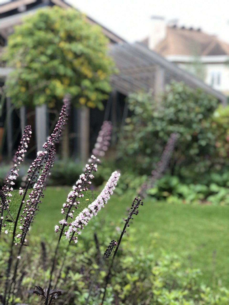 Сад "Живая история"