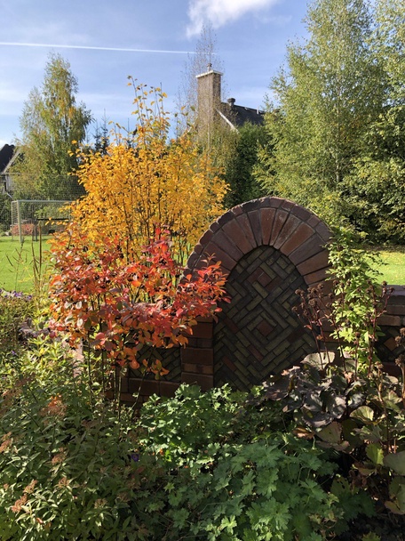 Сад "Играть Ловить Собирать"