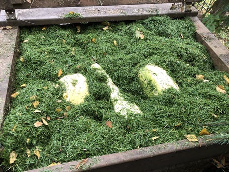 Сад "Играть Ловить Собирать"