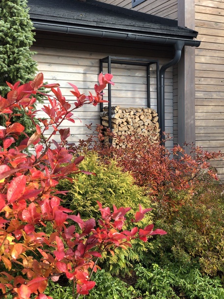 Сад "Играть Ловить Собирать"