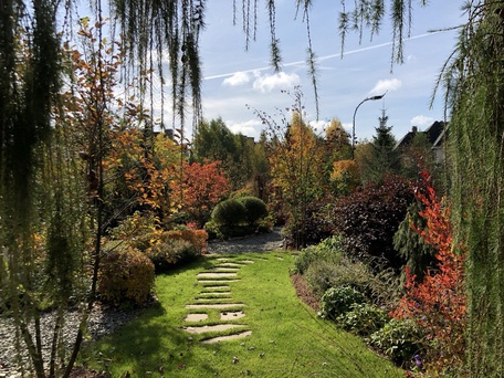 Сад "Играть Ловить Собирать"