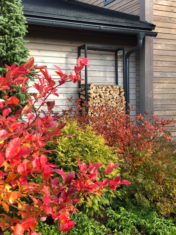 Сад "Играть Ловить Собирать"