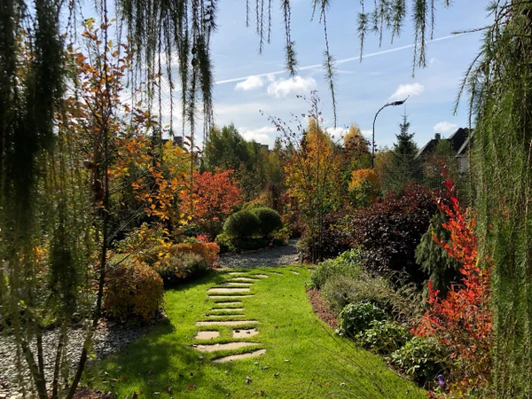 Сад "Играть Ловить Собирать"