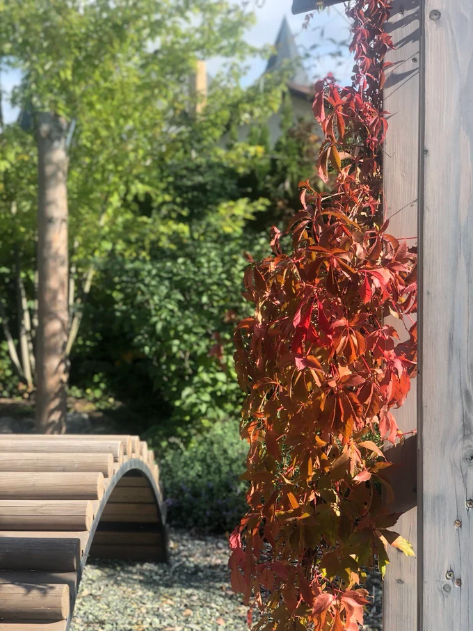 Сад "Играть Ловить Собирать"