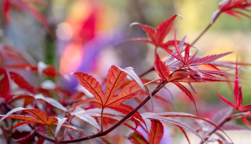 Свяжитесь с нами