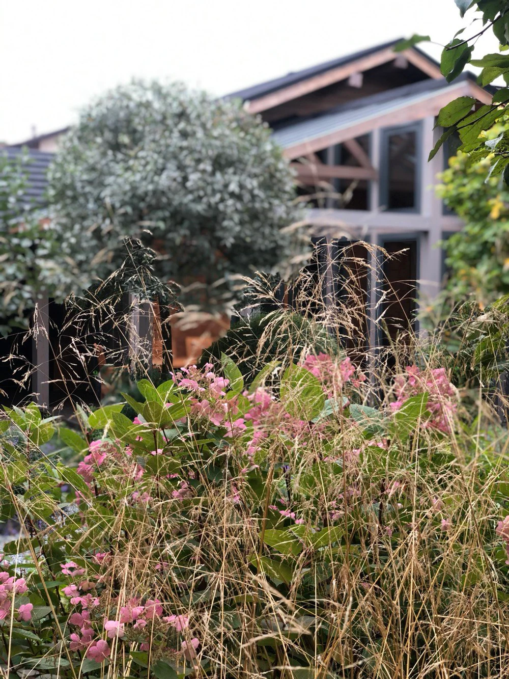 Сад "Живая история"