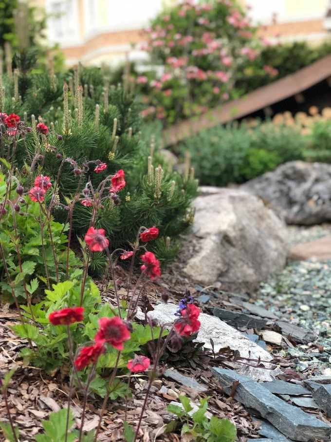 Сад "Играть Ловить Собирать"