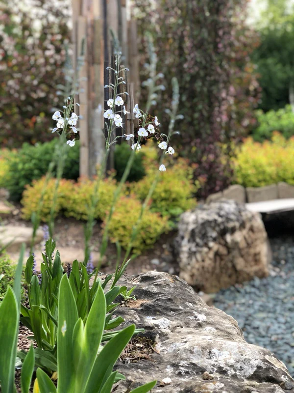 Сад "Играть Ловить Собирать"