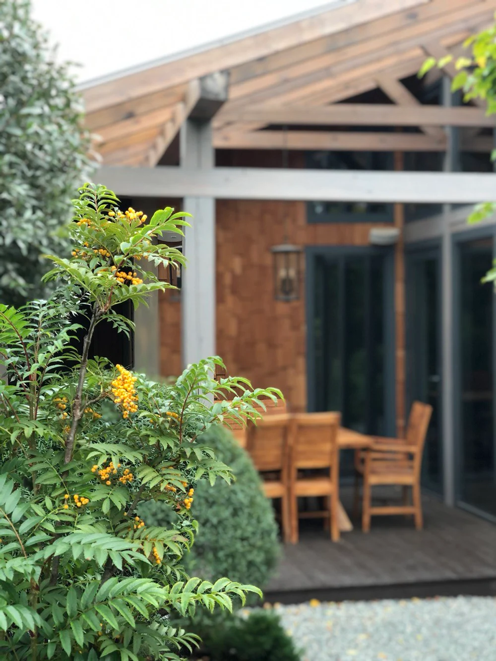 Сад "Живая история"