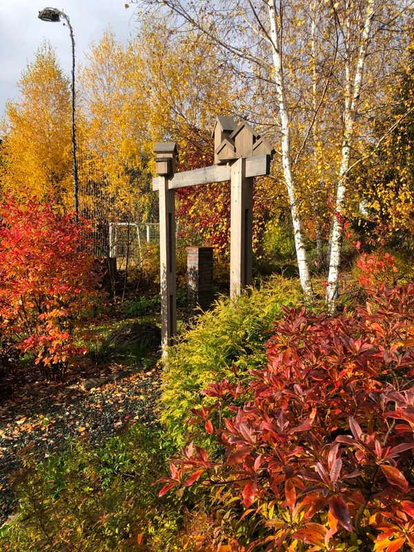 Сад "Играть Ловить Собирать"