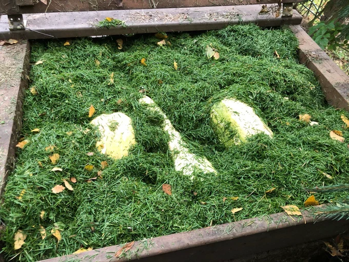 Сад "Играть Ловить Собирать"