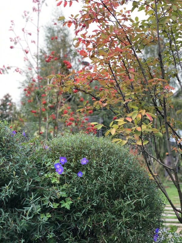 Сад "Играть Ловить Собирать"