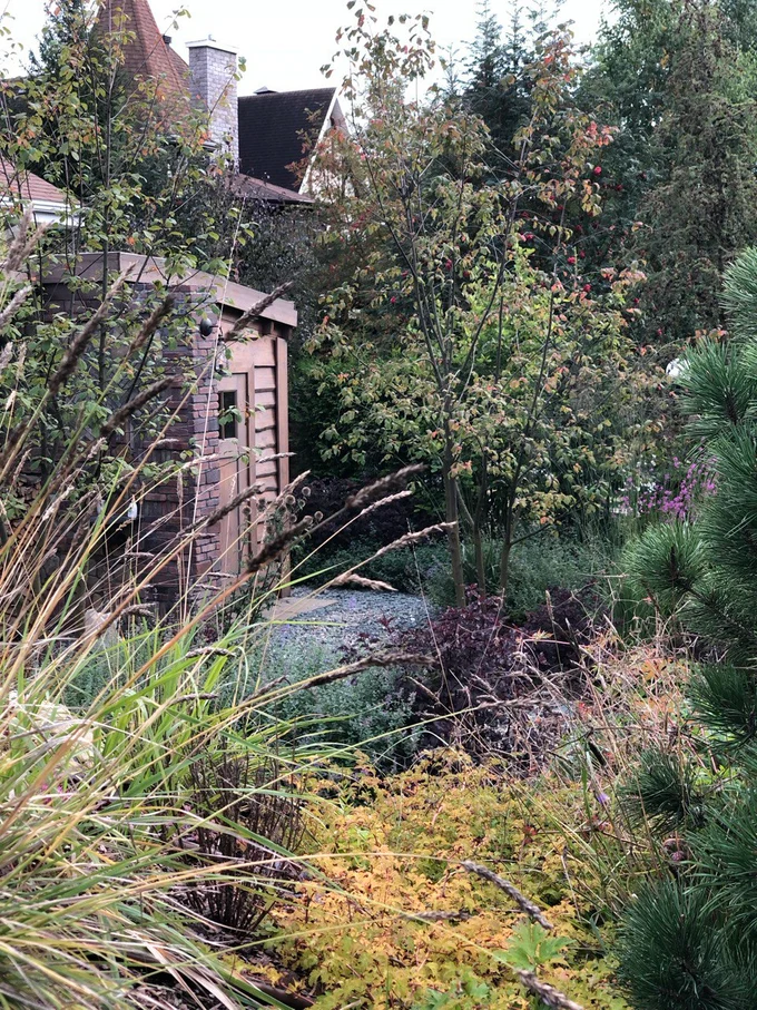 Сад "Играть Ловить Собирать"