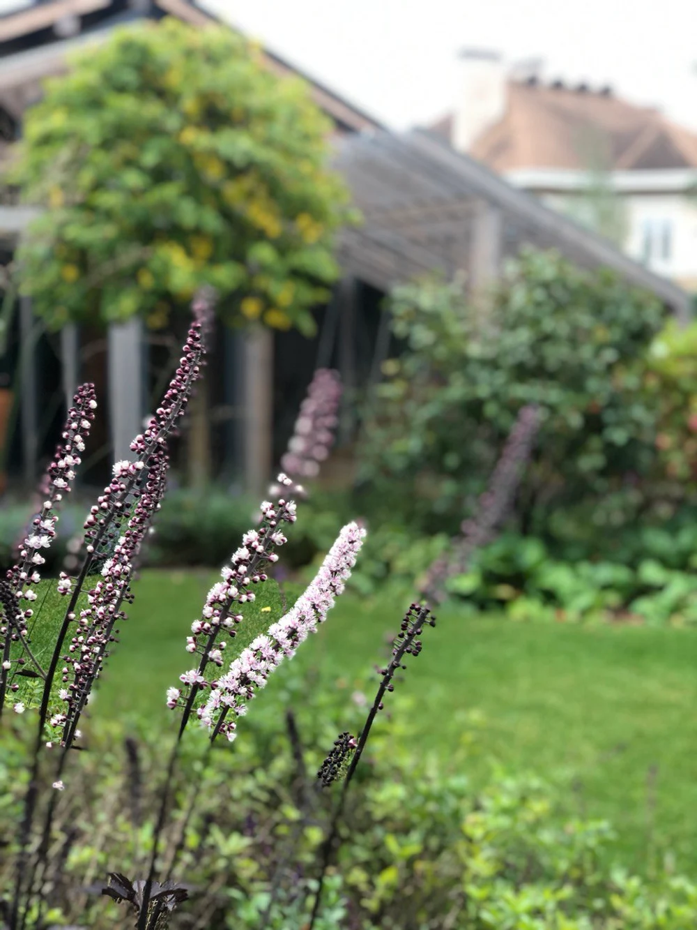 Сад "Живая история"