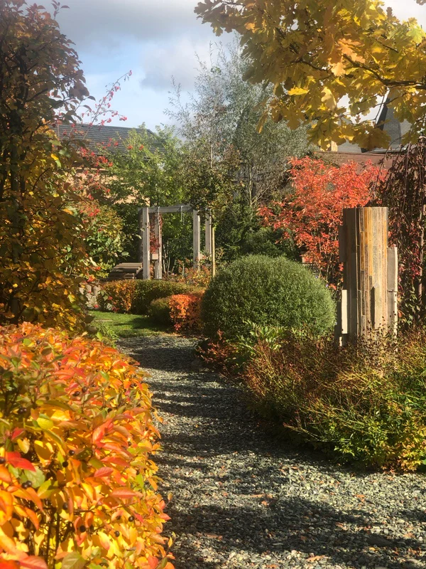 Сад "Играть Ловить Собирать"