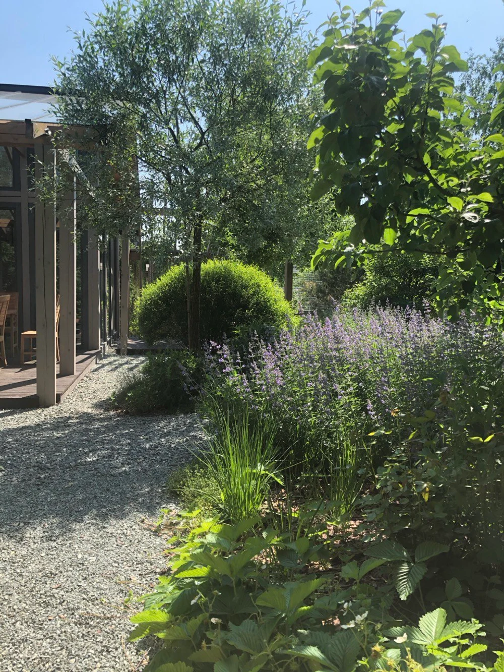 Сад "Живая история"