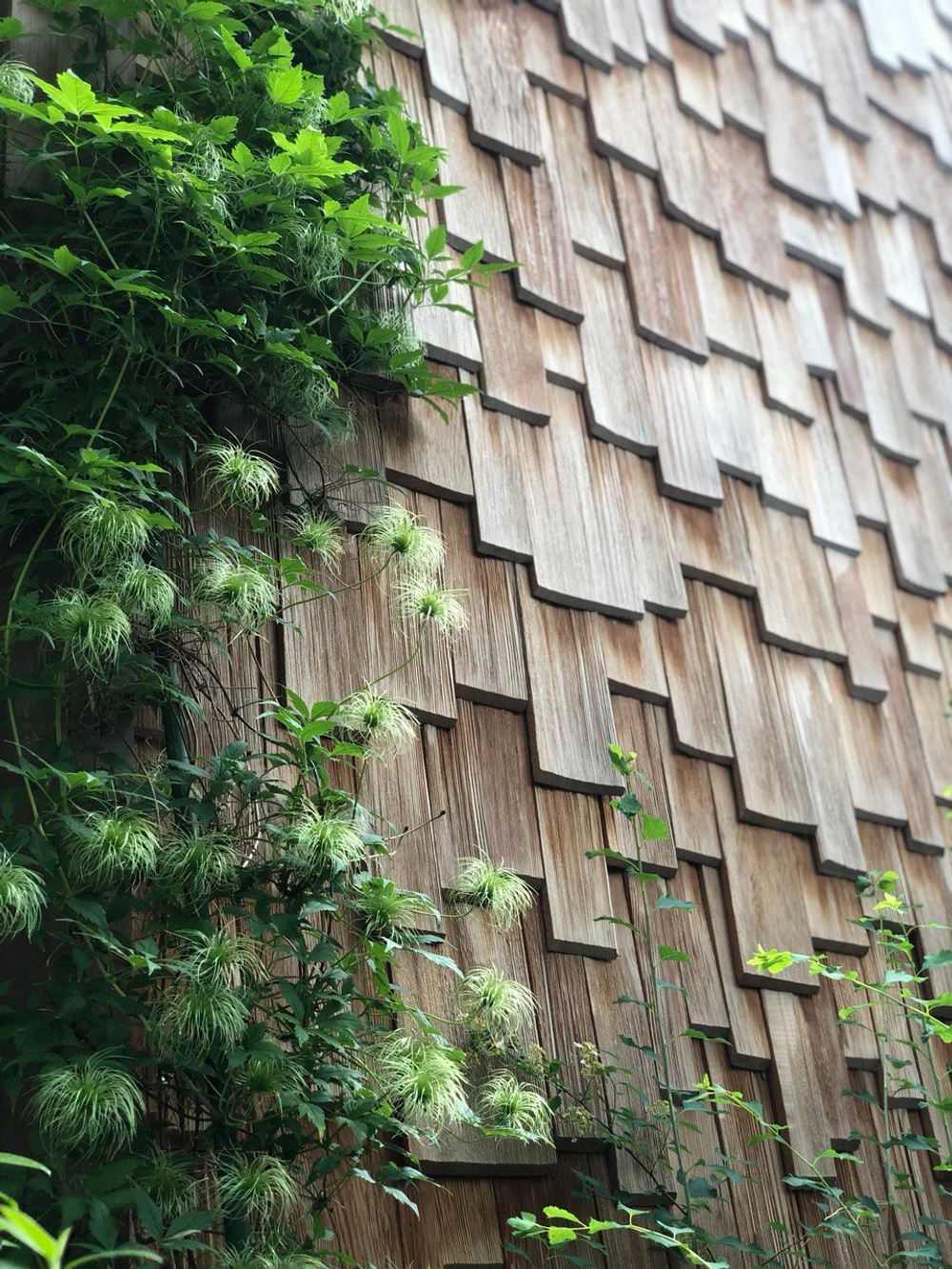 Сад "Живая история"