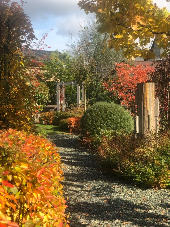 Сад "Играть Ловить Собирать"