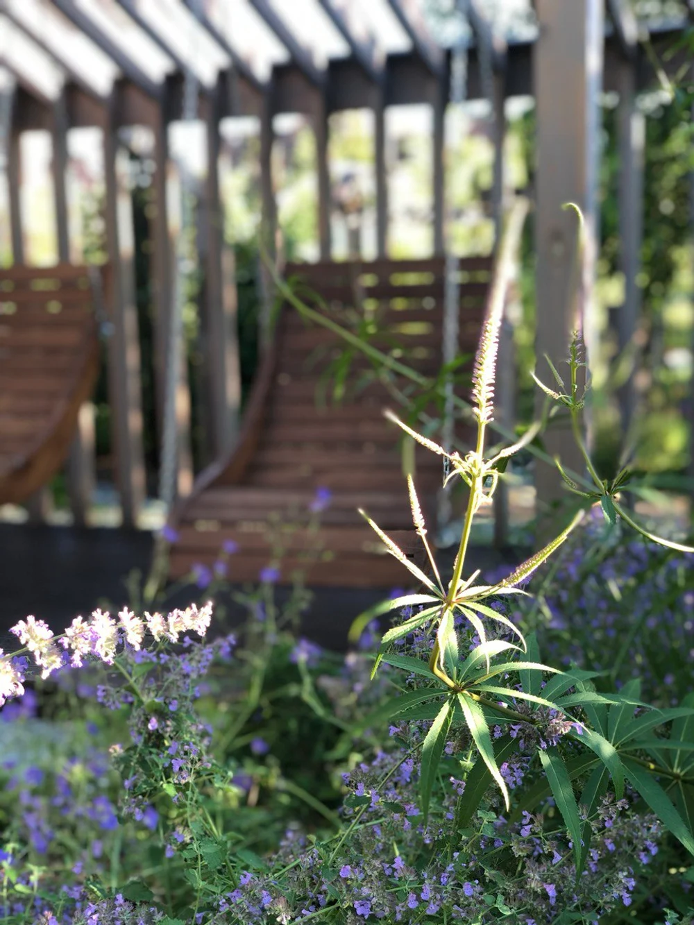 Сад "Живая история"