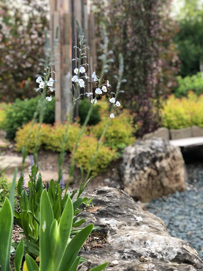 Сад "Играть Ловить Собирать"