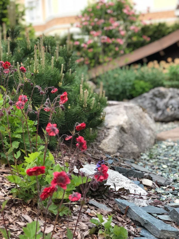 Сад "Играть Ловить Собирать"